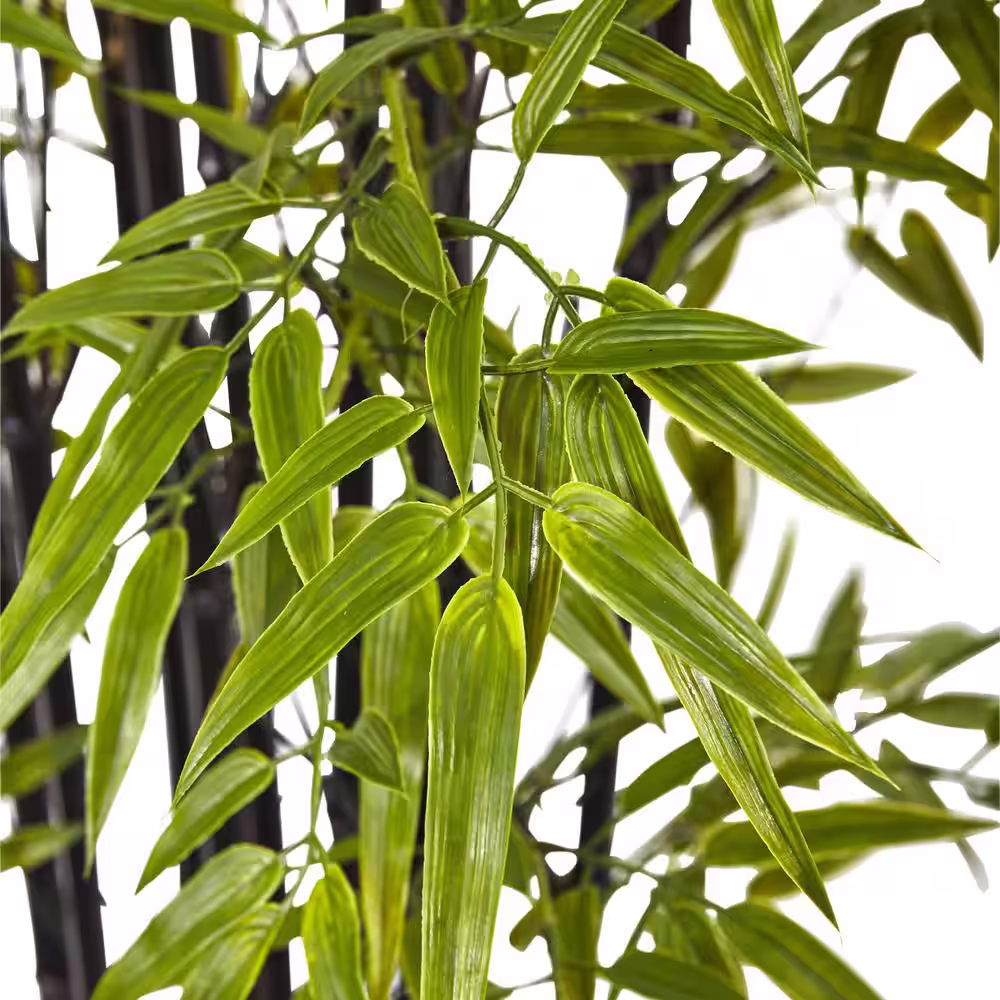 Nearly Natural Indoor and Outdoor 6 ft. Artificial Black Bamboo Tree UV Resistant